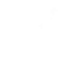 Técnicas mínimamente invasivas